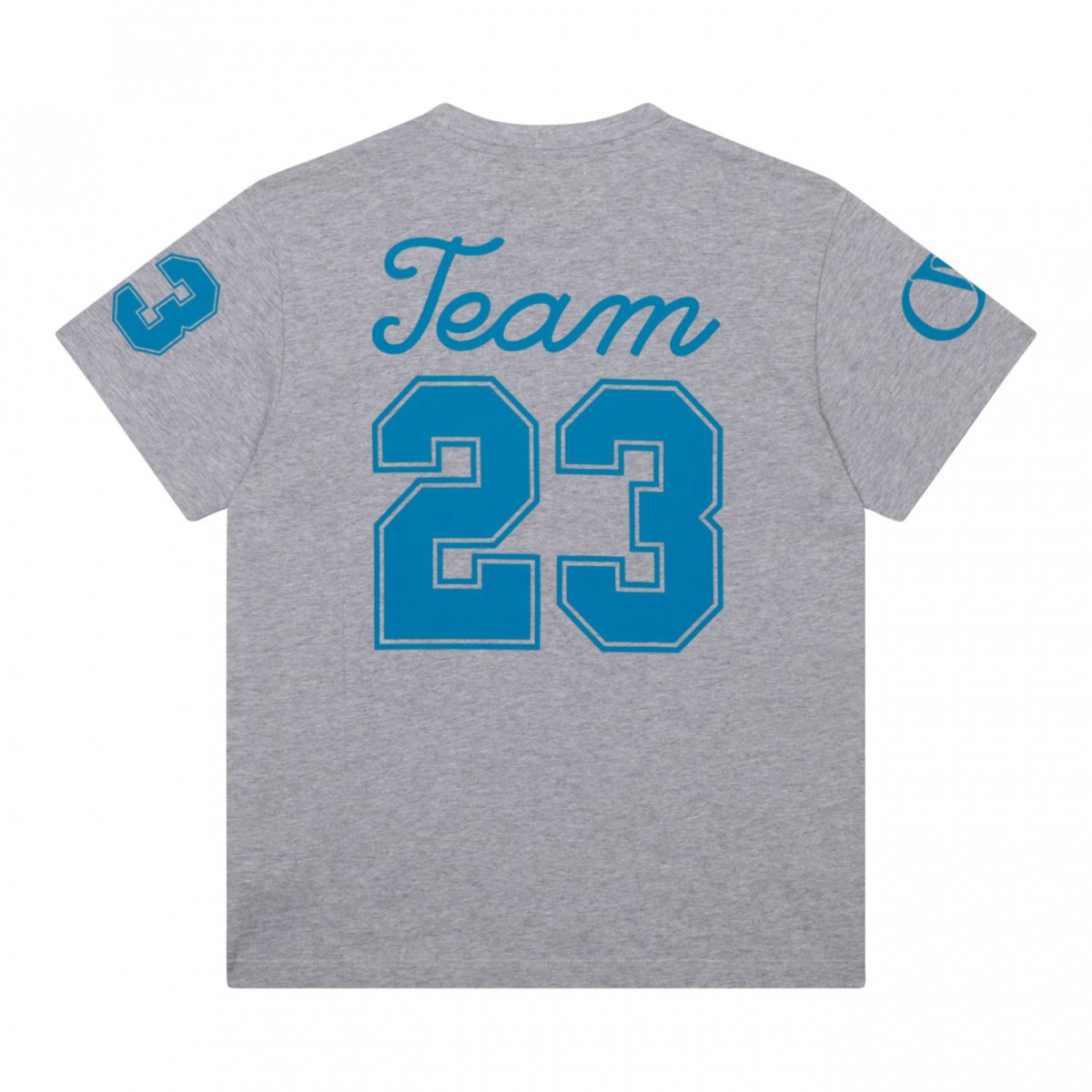 Melange Grey and Blue T-Shirt