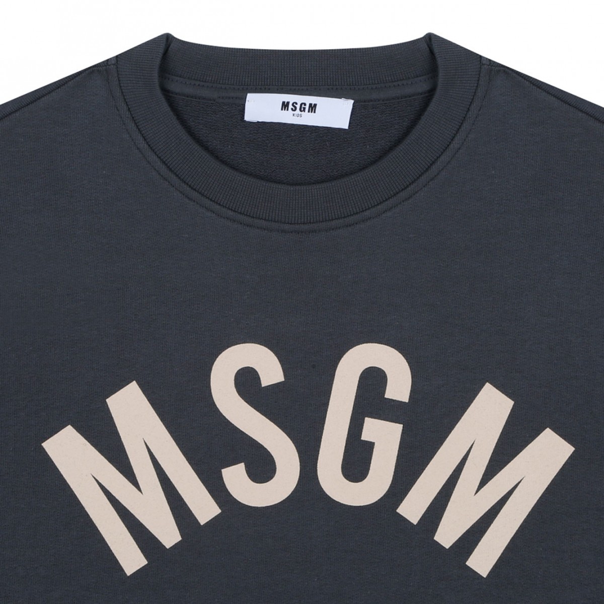 Dark Grey Logo Print Sweatshirt