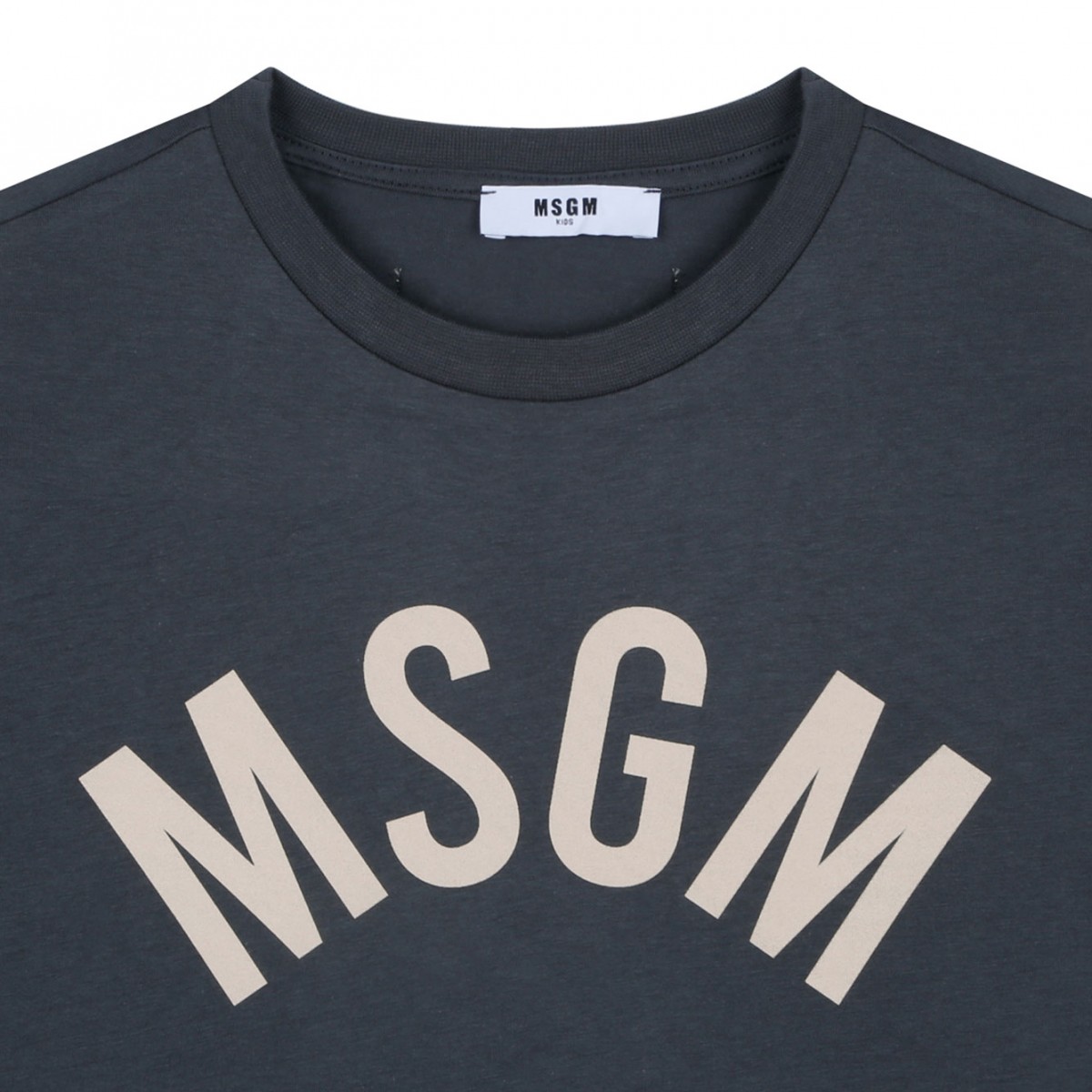 Dark Grey Logo Print T-Shirt
