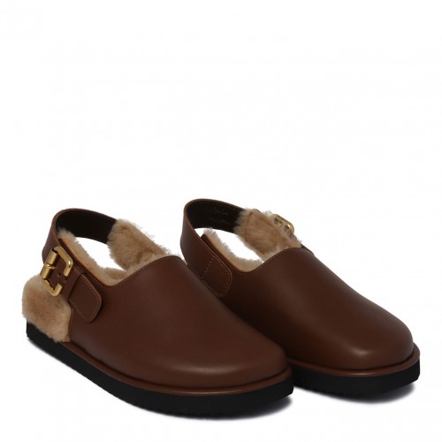 Sooty Brown Nil Sabot 2