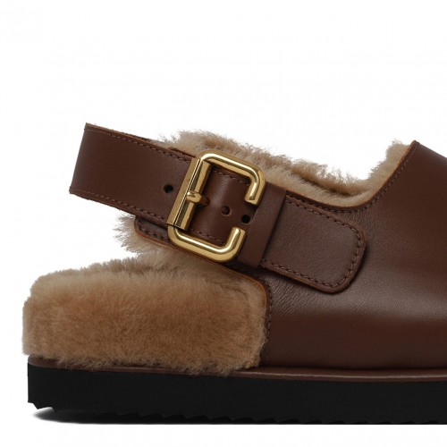 Sooty Brown Nil Sabot