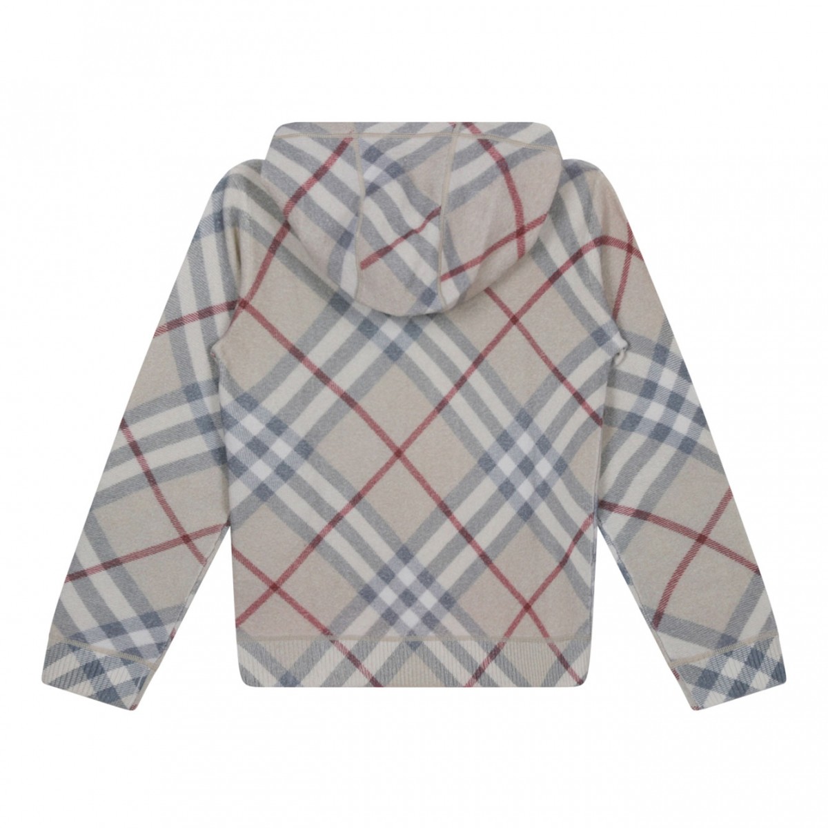 Check Pattern Hoodie