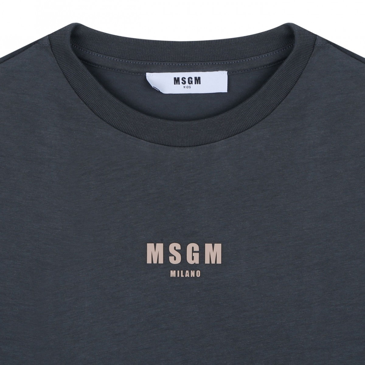 Dark Grey Printed T-Shirt