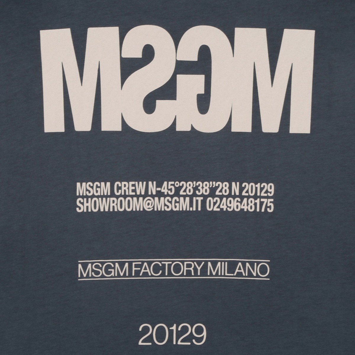 Dark Grey Printed T-Shirt