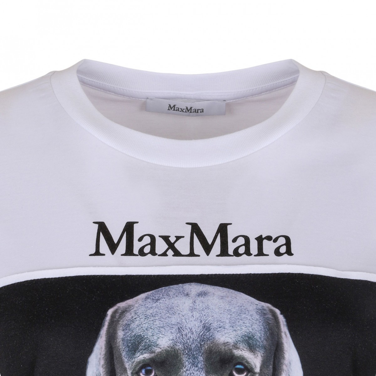 White Dog Print T-Shirt