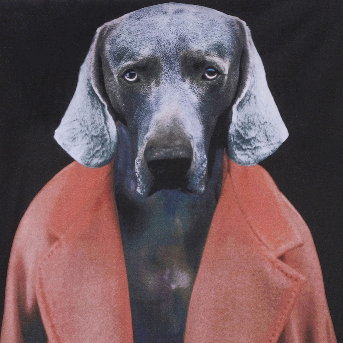 White Dog Print T-Shirt