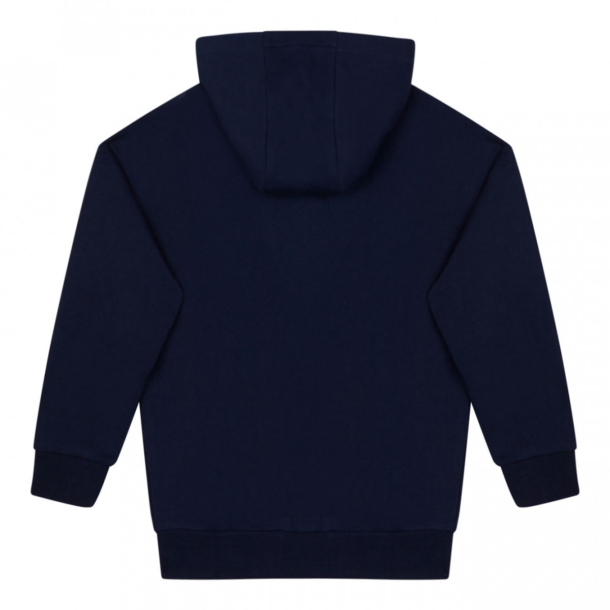 Varsity Tiger Hoodie