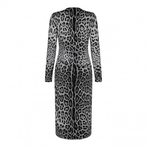 Leopard Print Dress 2