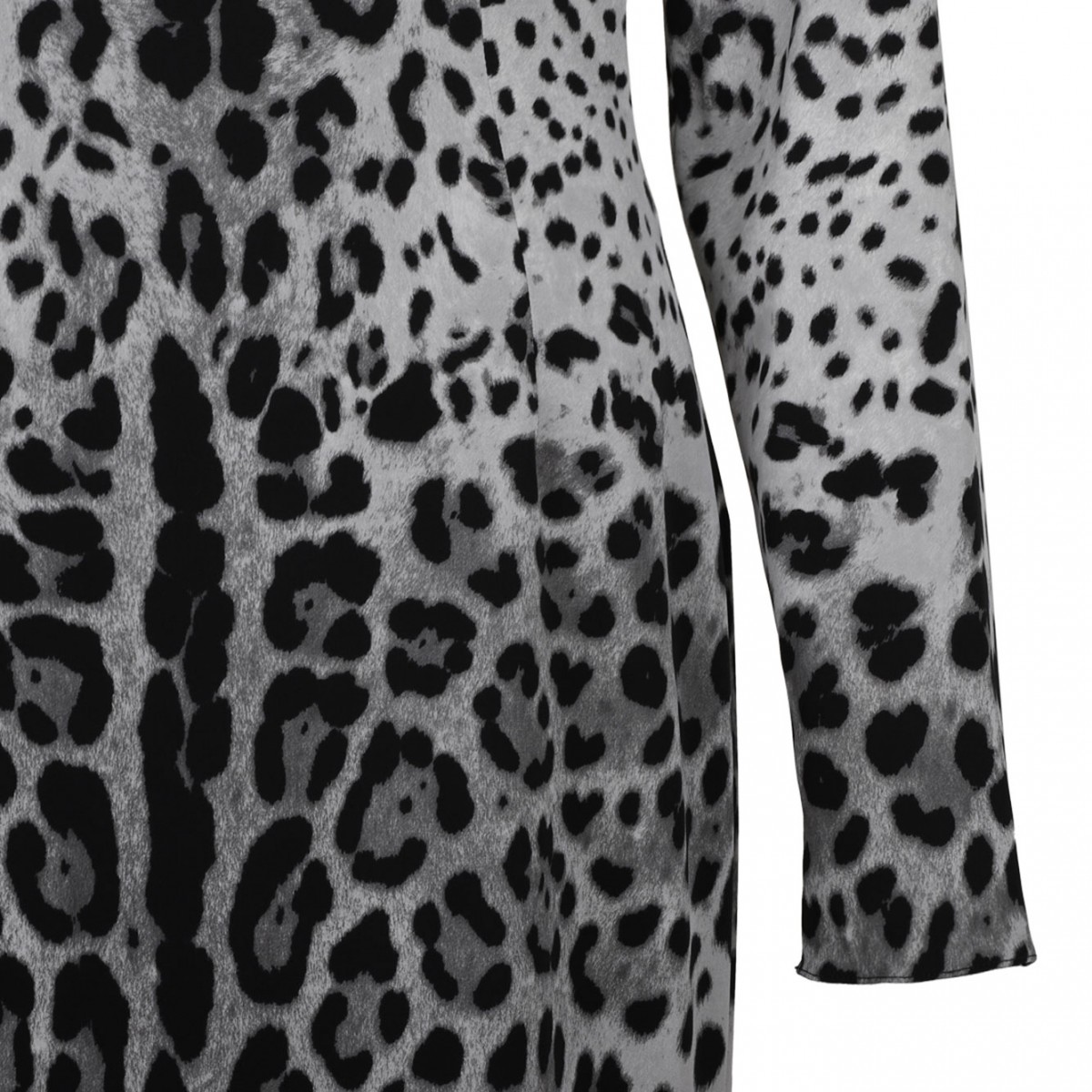 Leopard Print Dress