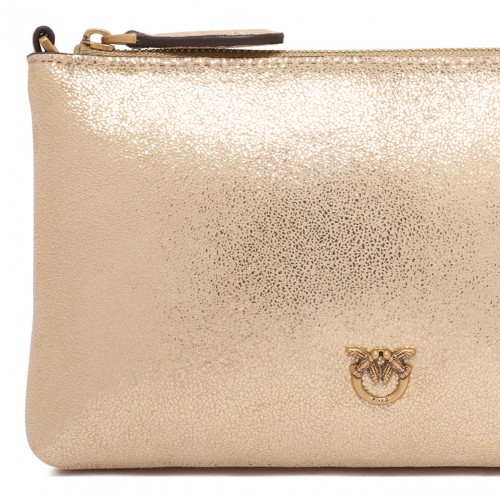 Gold Tone Clutch Bag