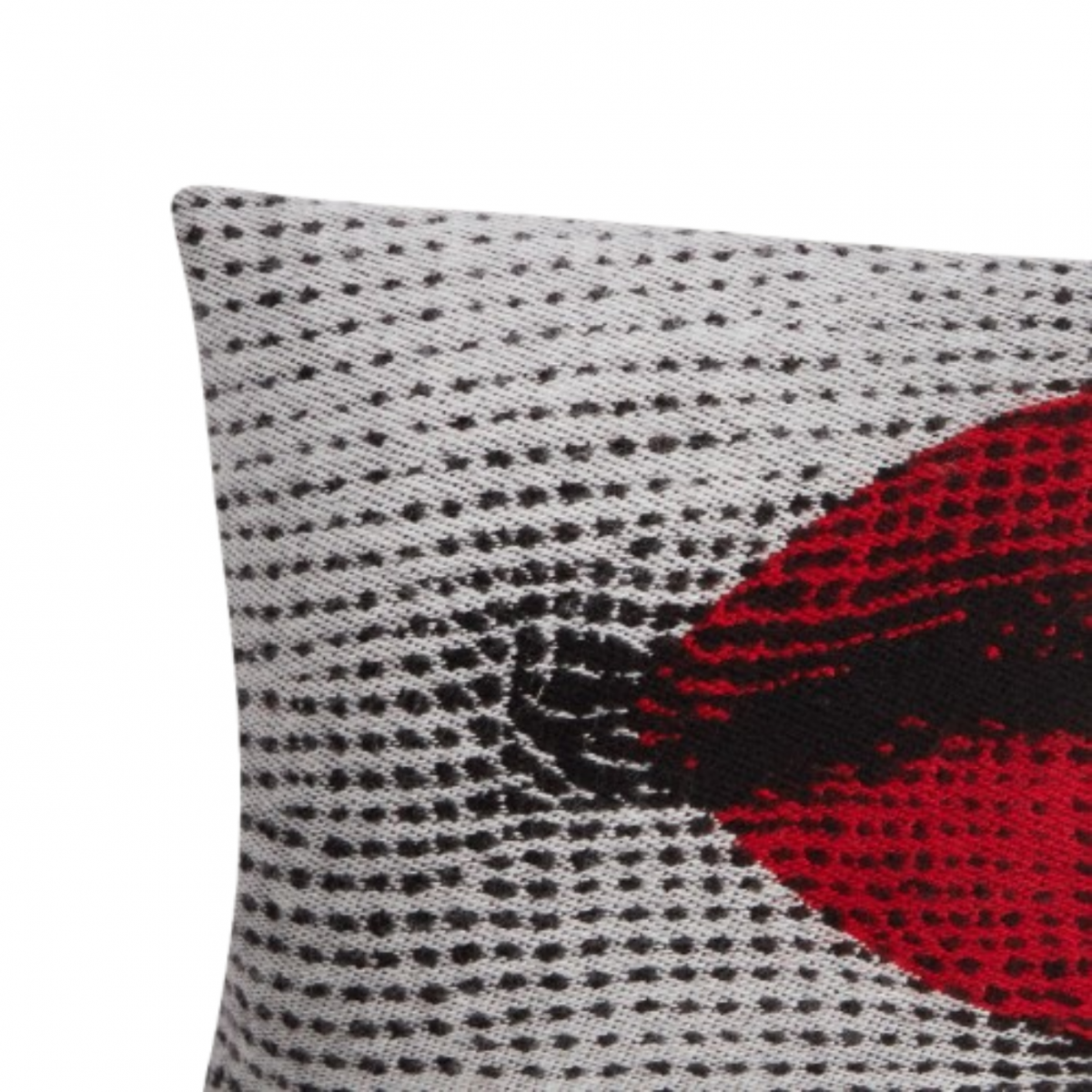 Cushions Kiss