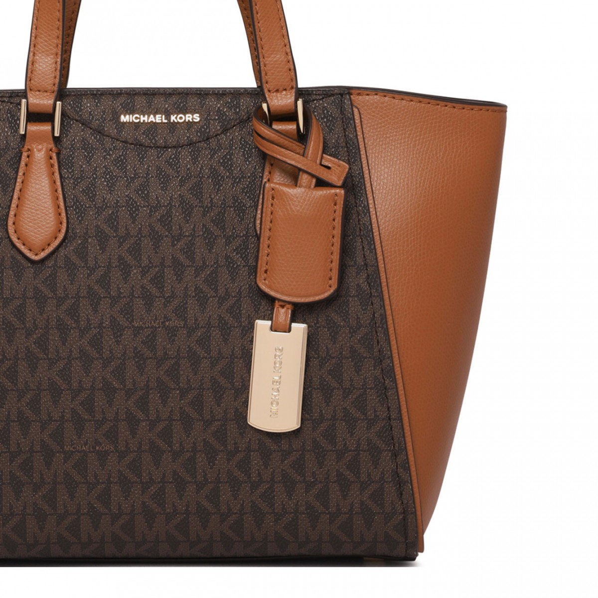 Brown Small Taryn Tote Bag