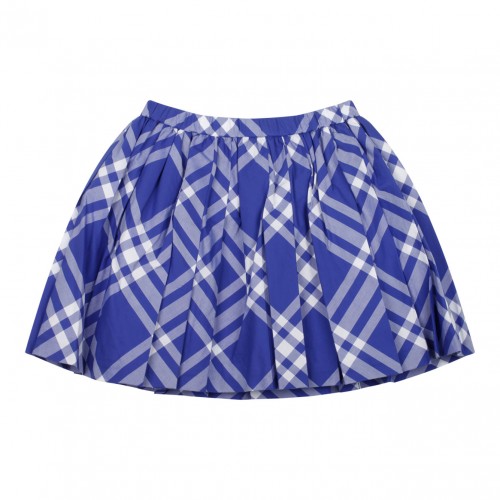 Royal Blue and White Checked Miniskirt 2