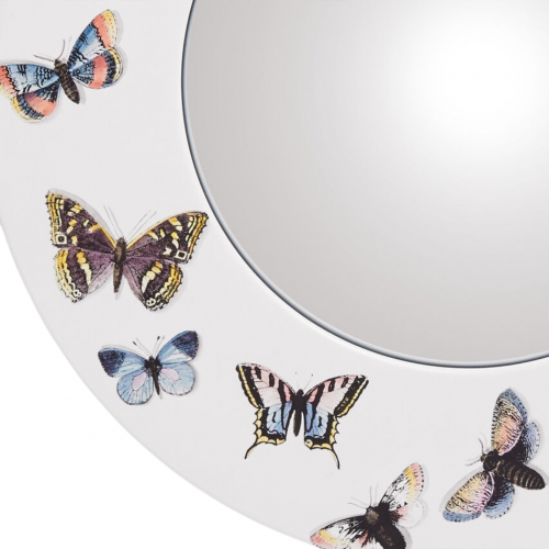 Frame With Curved Mirror Butterflies