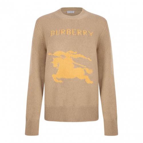 Equestrian Knight Jumper