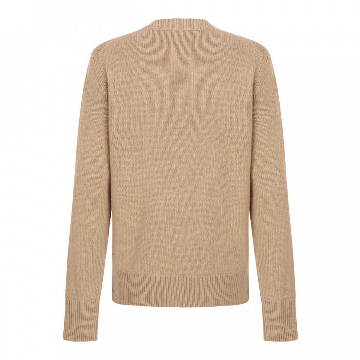 Equestrian Knight Jumper