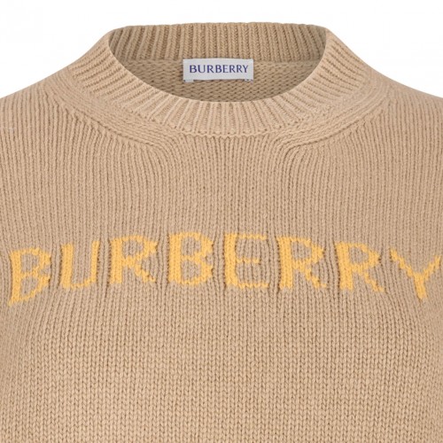 Equestrian Knight Jumper