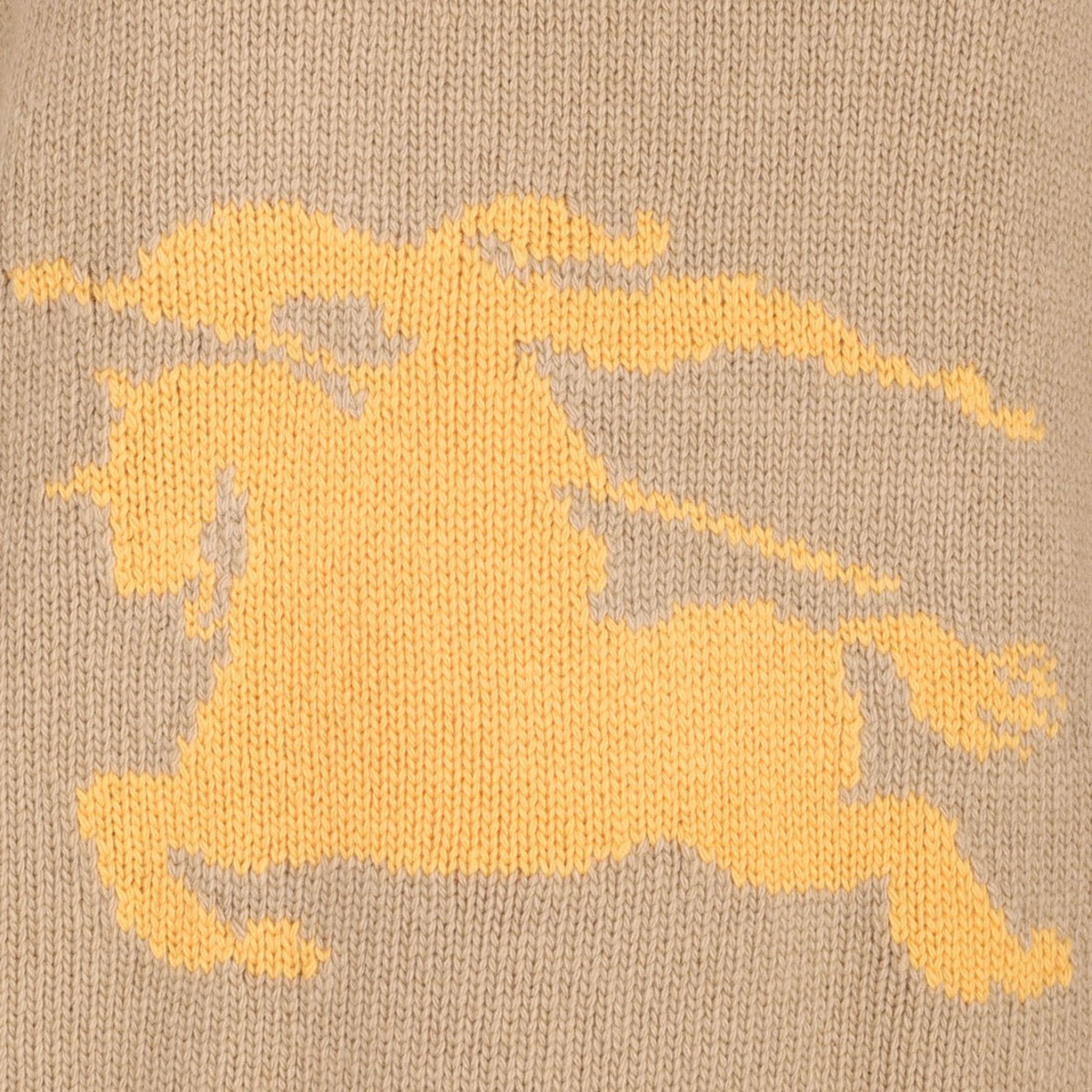 Equestrian Knight Jumper