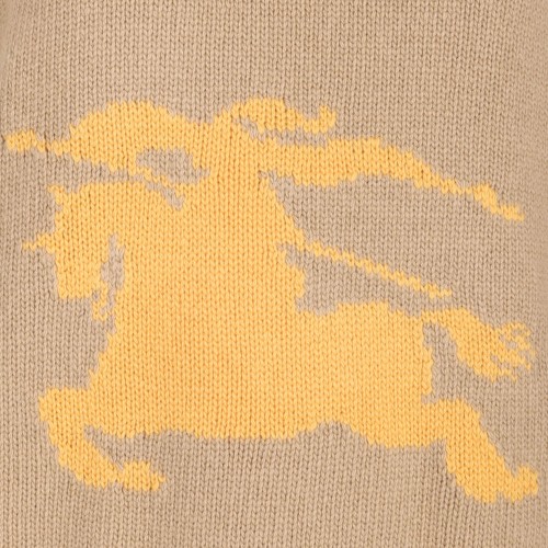 Equestrian Knight Jumper
