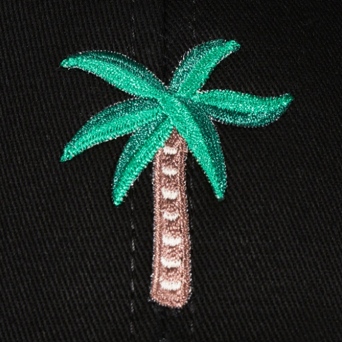 Black Palm Cap