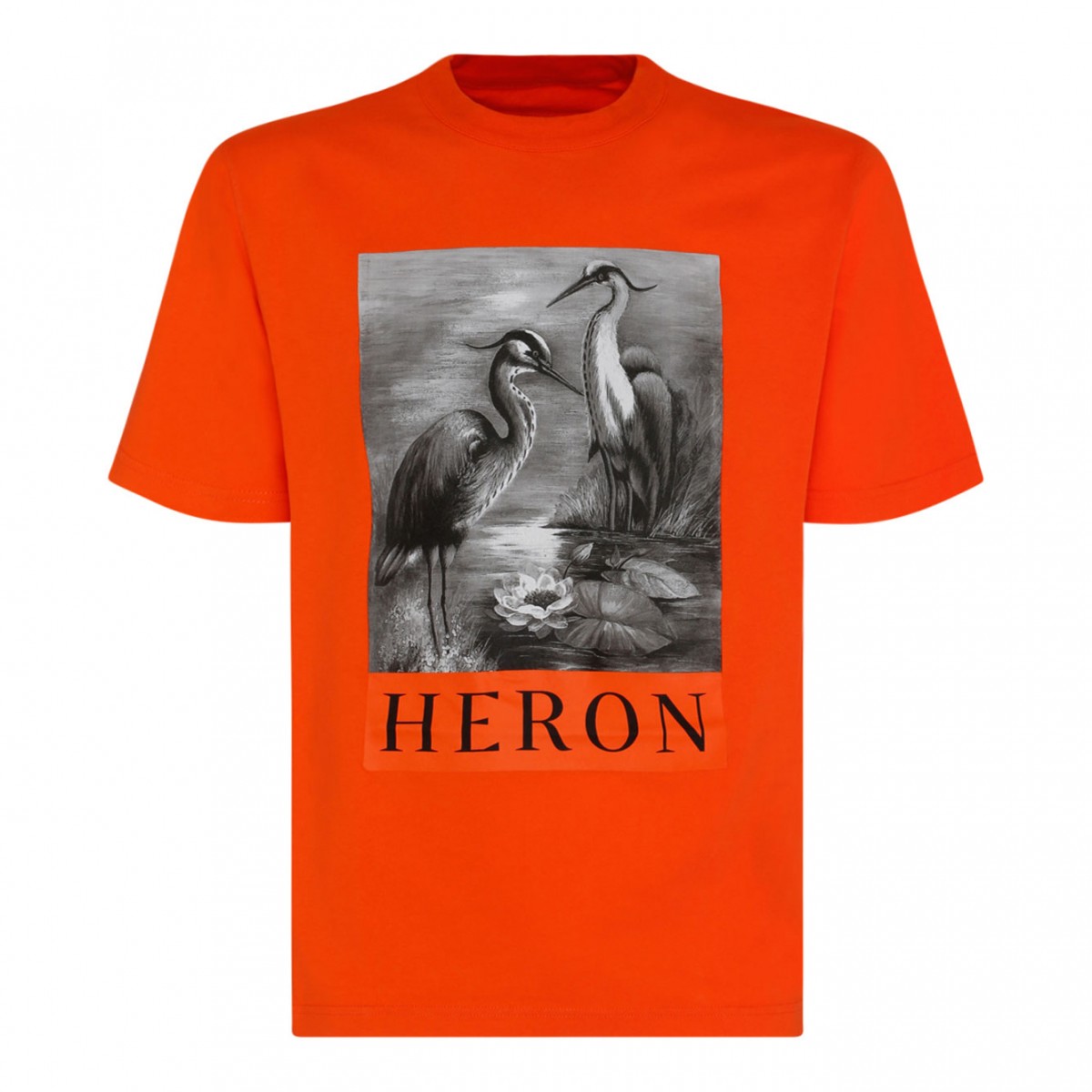 Orange and Black Cotton Graphic print T-Shirt