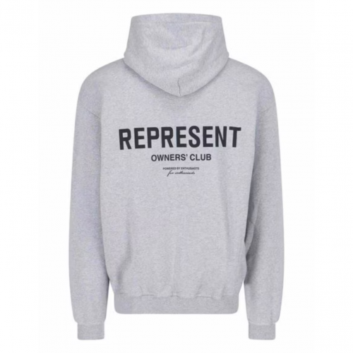 Ash Grey Owners Club Hoodie 2