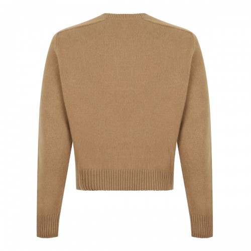 Camel Raglan Sleeve Cashmere Sweater
