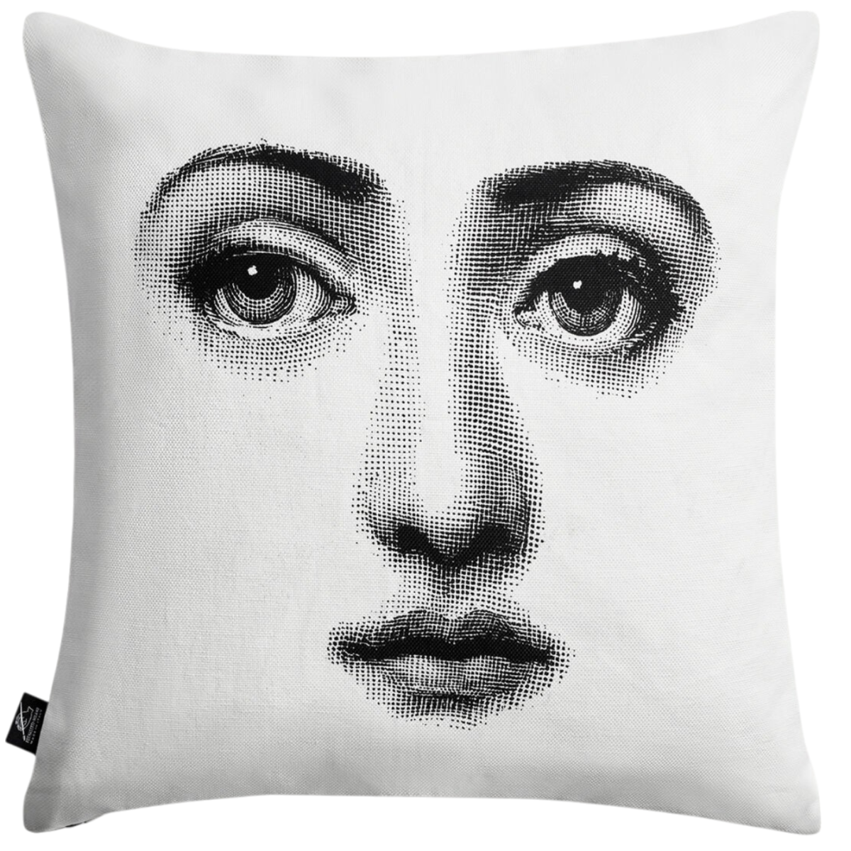 Cushion Tema e Variazioni n. 1-6