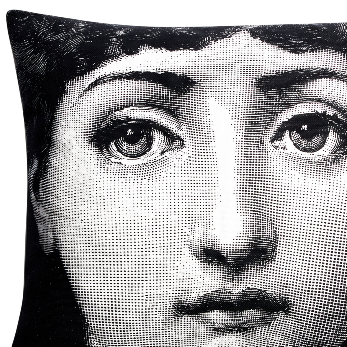 Cushion Tema e Variazioni n. 1-6