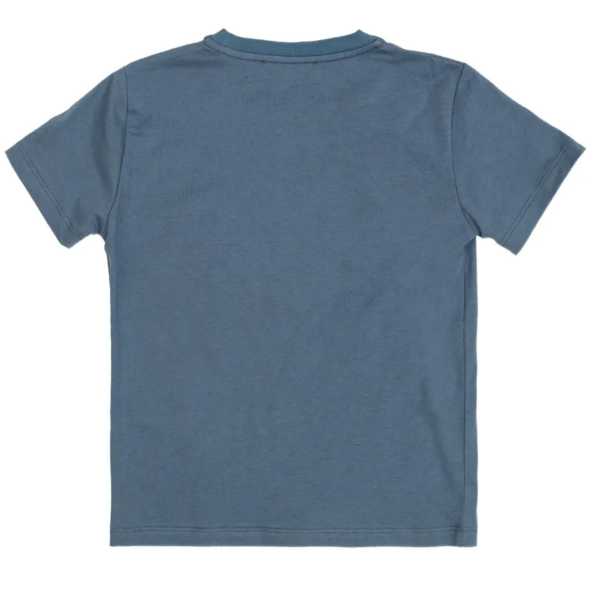 Steel Blue Cotton T-Shirt