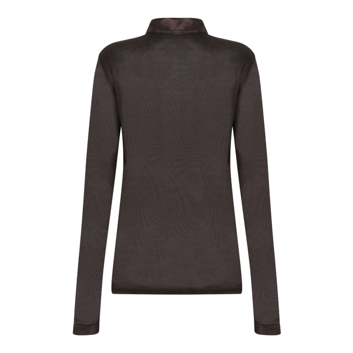 Brown Transparent Top