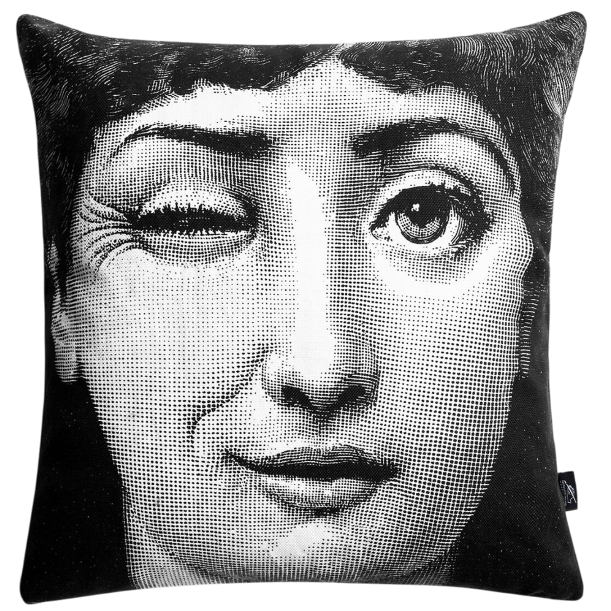 Cushion Tema e Variazioni n. 82-130