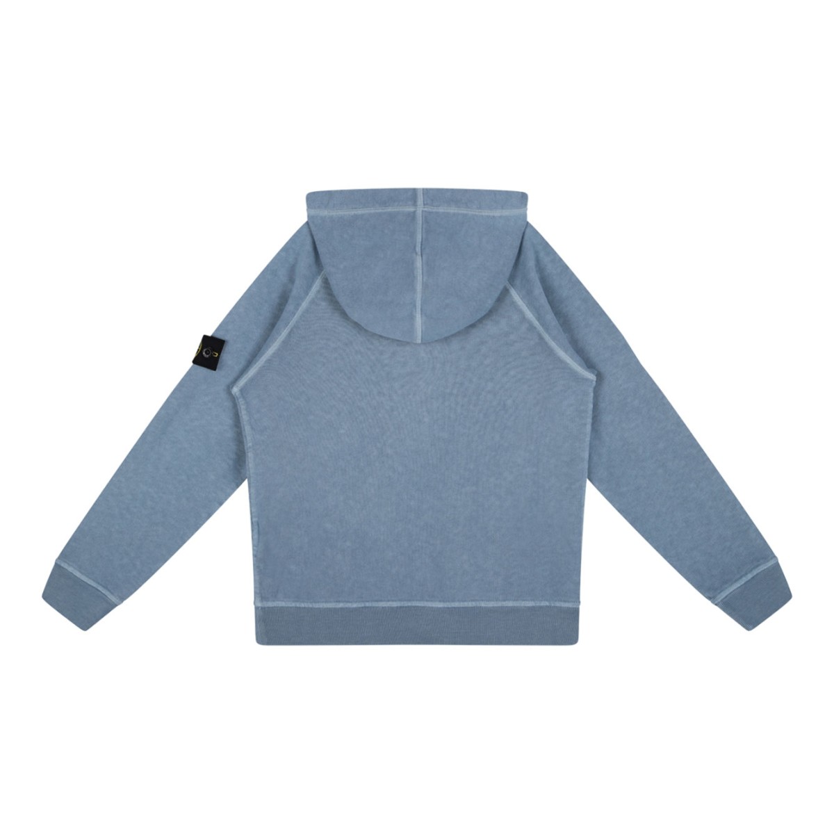 Dust Blue Hooded Sweatshirt In Cotton
