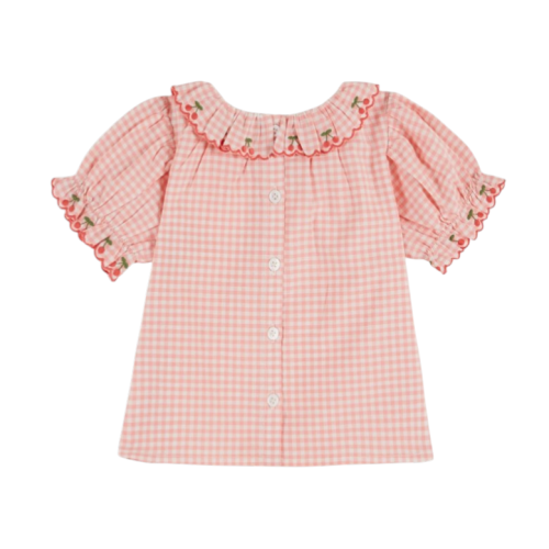 Blouse pink gingham embroidered collar 2