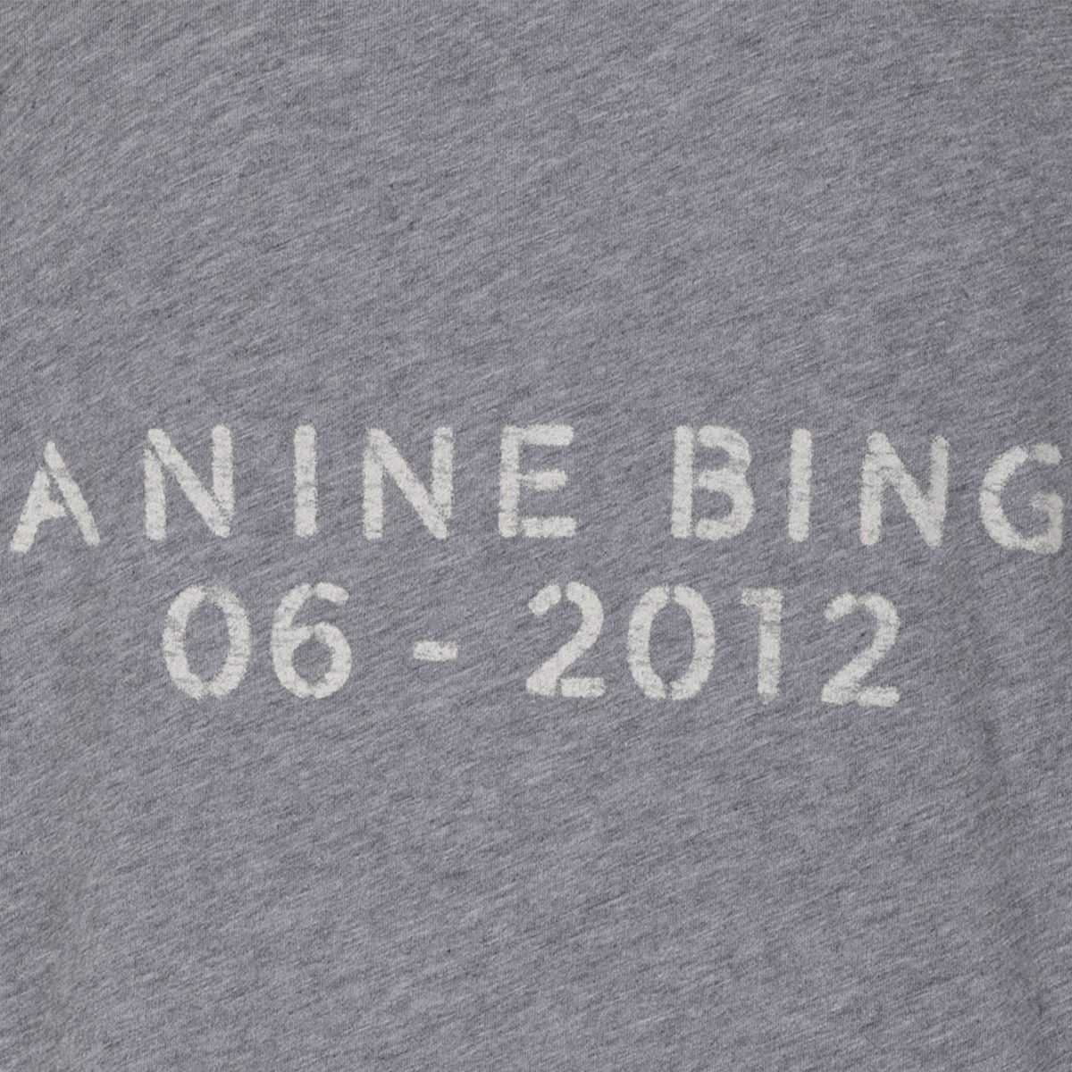 Anine Bing Grey Cotton Logo T-Shirt.