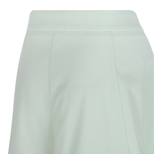 Genny Light Green A-Line Mini Skirt.