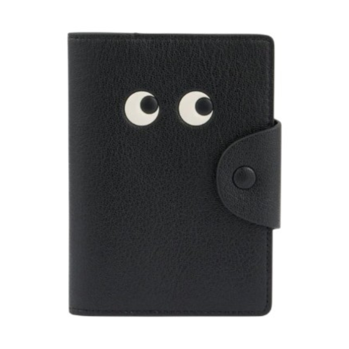 Eyes Passport Case