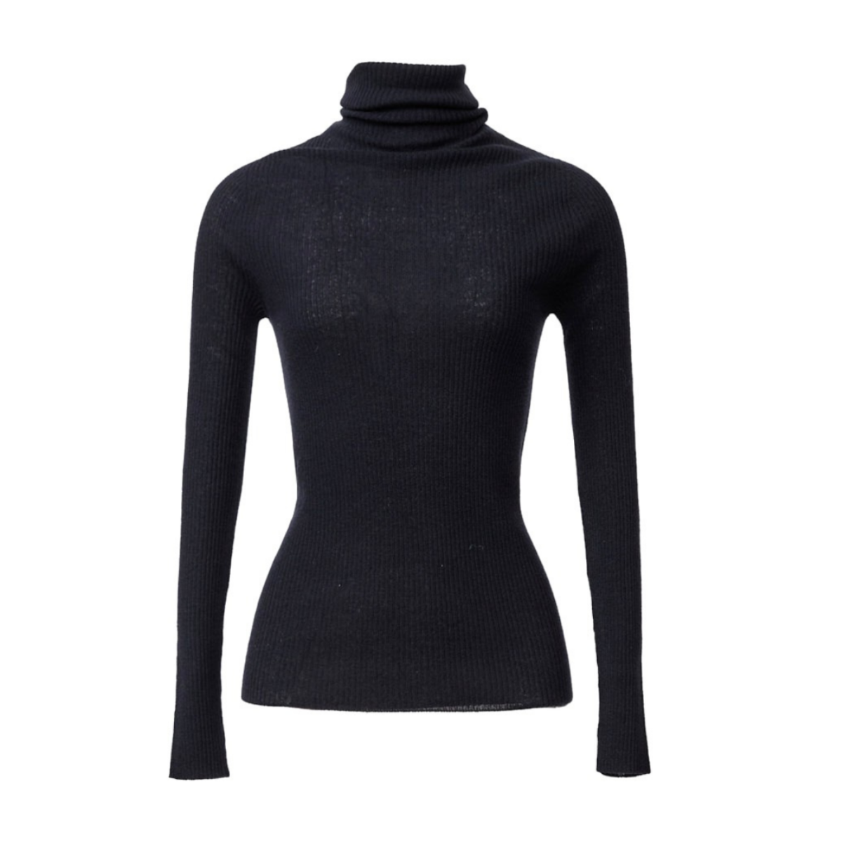 Fabiana Filippi Black Ribbed Wool Turtleneck Sweater.