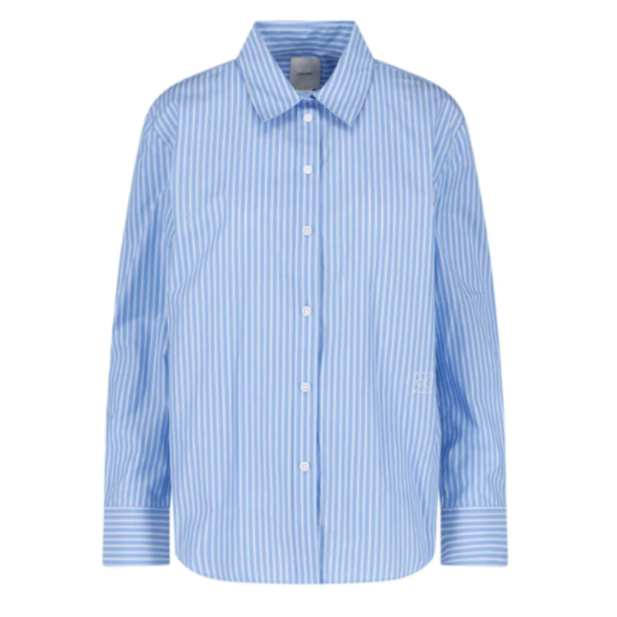 Blue Striped Shirt.