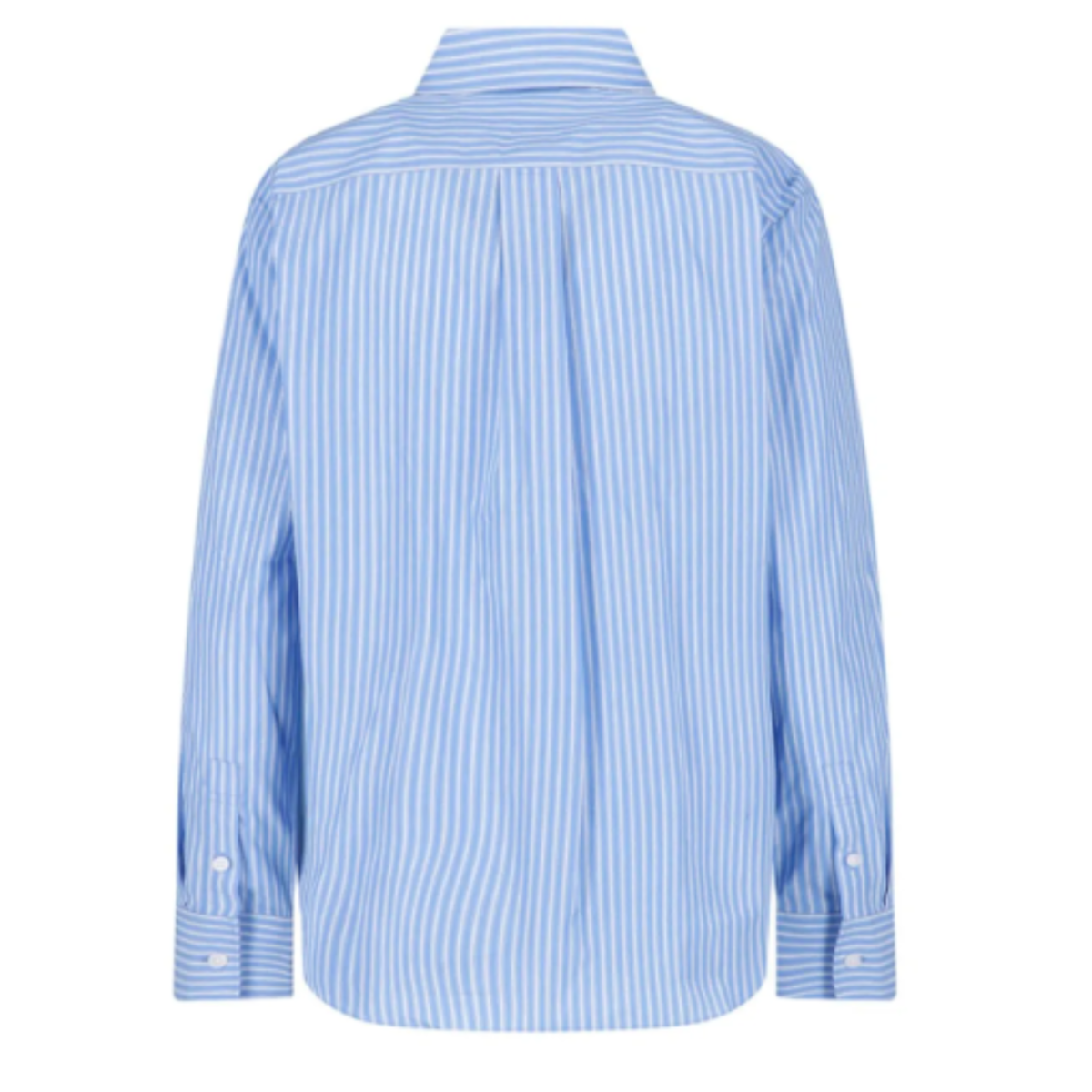 Blue Striped Shirt.