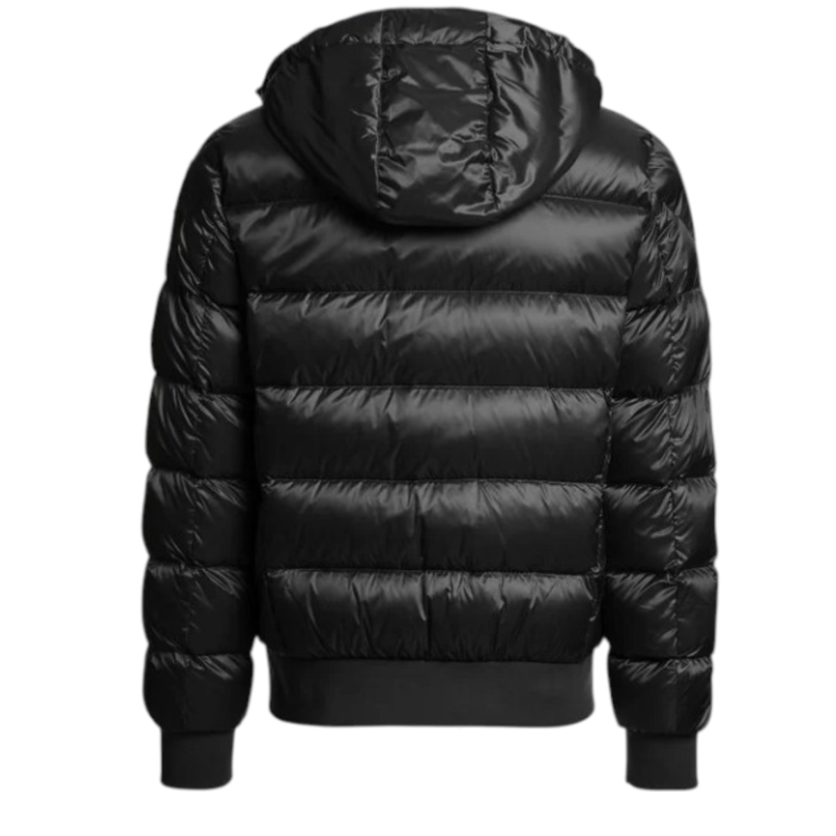 PHARRELL HOODED BOMBER