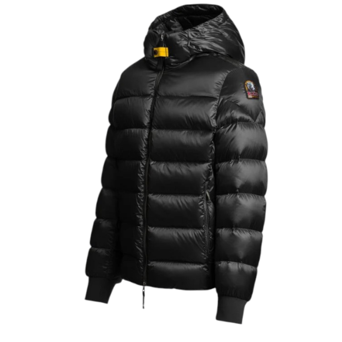 PHARRELL HOODED BOMBER