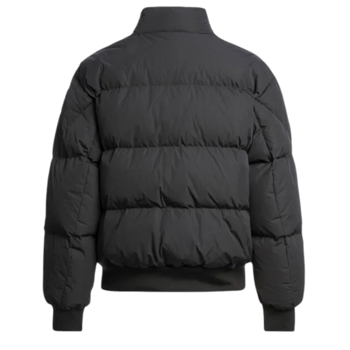 COLLYNIE DOWN BOMBER