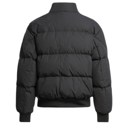 COLLYNIE DOWN BOMBER