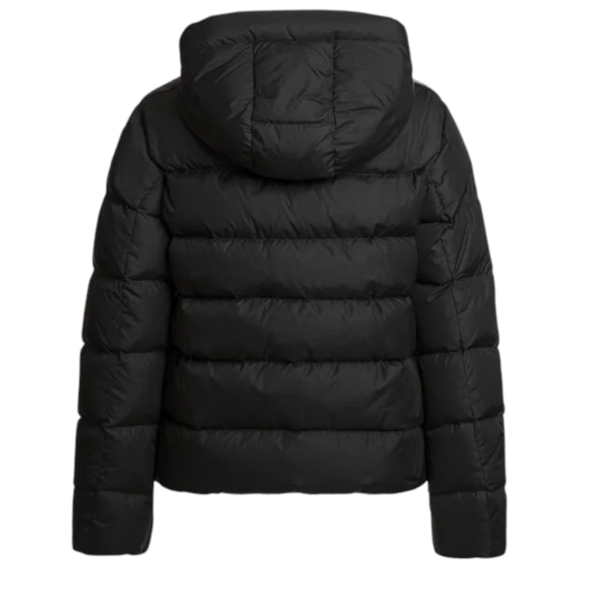 JINNY SHORT DOWN JACKET