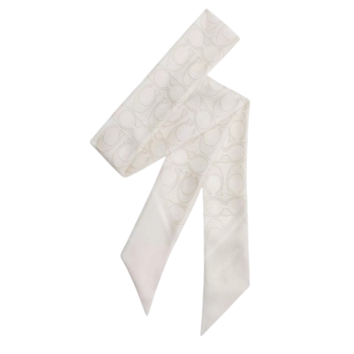 Skinny Silk Scarf with Signature Print