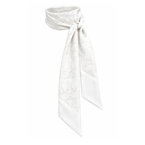 Skinny Silk Scarf with Signature Print 2