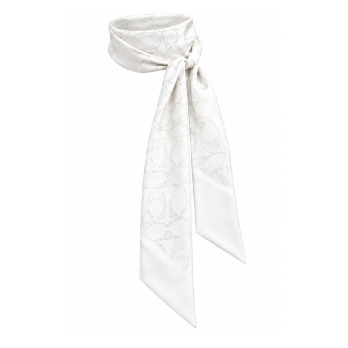 Skinny Silk Scarf with Signature Print