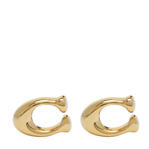 Gold-Tone Stud Earrings